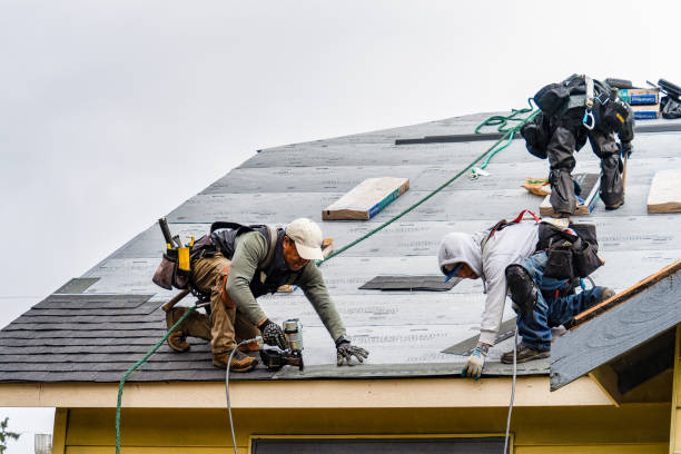 Professional Storm Damage Roof Repair technician working in Niagara, WI